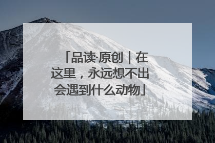 品读·原创｜在这里，永远想不出会遇到什么动物