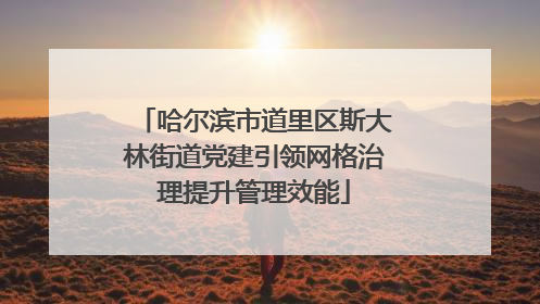 哈尔滨市道里区斯大林街道党建引领网格治理提升管理效能