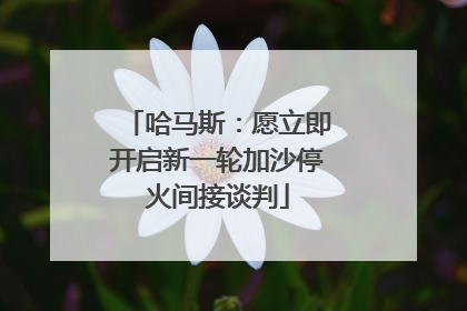 哈马斯：愿立即开启新一轮加沙停火间接谈判