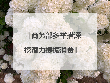 商务部多举措深挖潜力提振消费