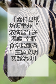 嘉祥县纸坊镇举办“浓情端午送温暖 幸福食堂粽飘香”主题文明实践活动