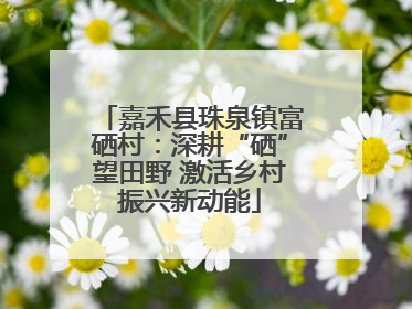 嘉禾县珠泉镇富硒村：深耕“硒”望田野 激活乡村振兴新动能