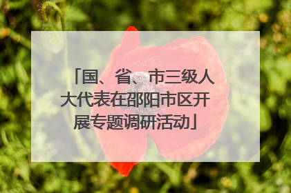 国、省、市三级人大代表在邵阳市区开展专题调研活动