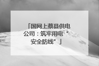 国网上蔡县供电公司：筑牢用电“安全防线”