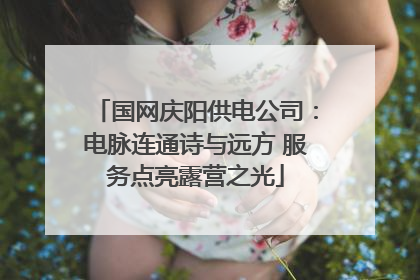国网庆阳供电公司：电脉连通诗与远方 服务点亮露营之光