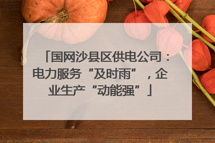 国网沙县区供电公司：电力服务“及时雨”，企业生产“动能强”