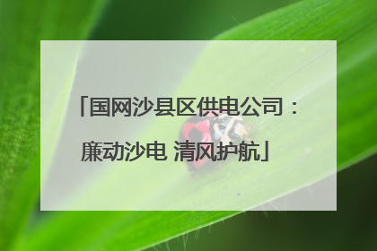 国网沙县区供电公司：廉动沙电 清风护航