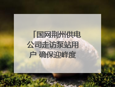 国网荆州供电公司走访泵站用户 确保迎峰度夏用电安全
