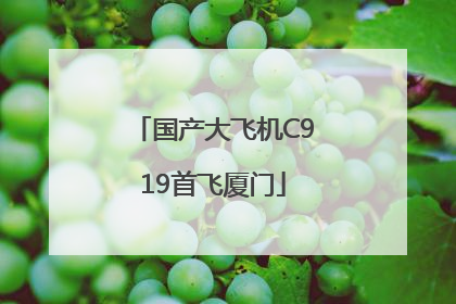 国产大飞机C919首飞厦门