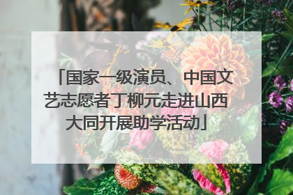国家一级演员、中国文艺志愿者丁柳元走进山西大同开展助学活动