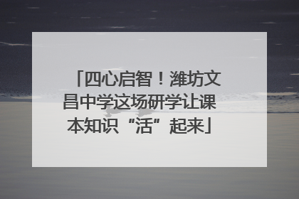 四心启智！潍坊文昌中学这场研学让课本知识“活”起来