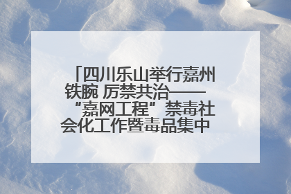 四川乐山举行嘉州铁腕 厉禁共治——“嘉网工程”禁毒社会化工作暨毒品集中销毁启动仪式