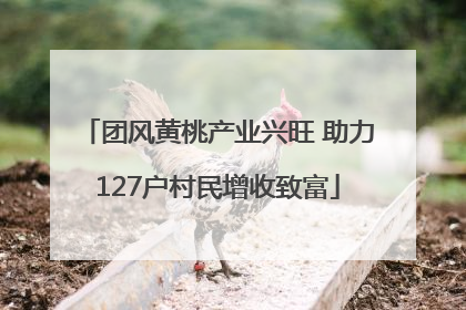 团风黄桃产业兴旺 助力127户村民增收致富
