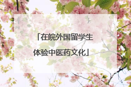 在皖外国留学生体验中医药文化