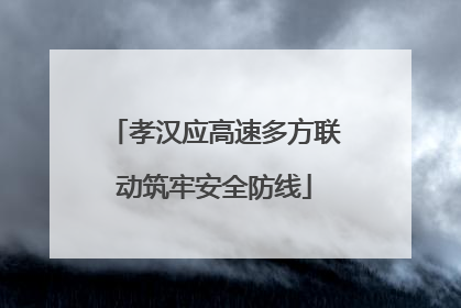 孝汉应高速多方联动筑牢安全防线