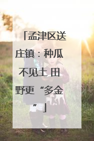 孟津区送庄镇：种瓜不见土 田野更“多金”
