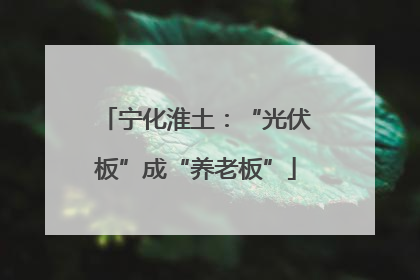 宁化淮土：“光伏板”成“养老板”