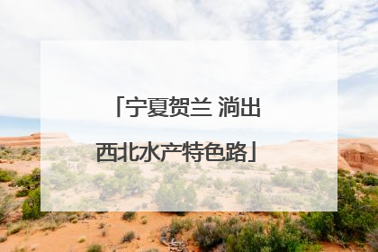 宁夏贺兰 淌出西北水产特色路