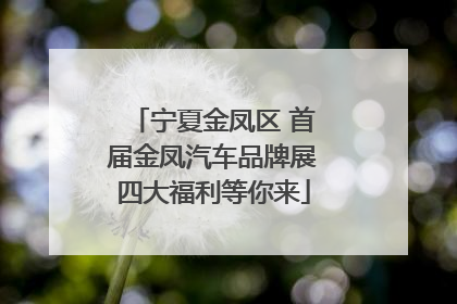 宁夏金凤区 首届金凤汽车品牌展四大福利等你来