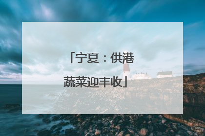 宁夏：供港蔬菜迎丰收