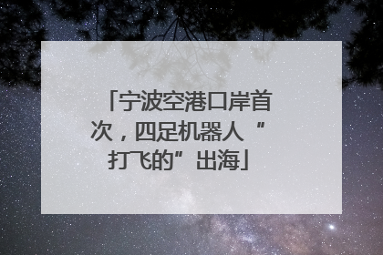 宁波空港口岸首次，四足机器人“打飞的”出海
