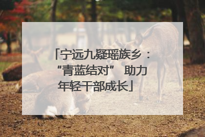 宁远九疑瑶族乡：“青蓝结对” 助力年轻干部成长