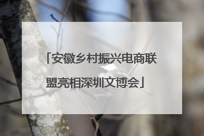 安徽乡村振兴电商联盟亮相深圳文博会