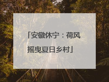 安徽休宁：荷风摇曳夏日乡村