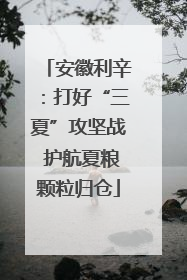安徽利辛：打好“三夏”攻坚战 护航夏粮颗粒归仓