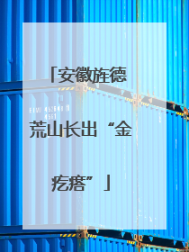 安徽旌德 荒山长出“金疙瘩”