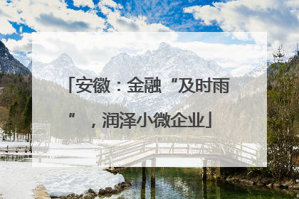 安徽：金融“及时雨”，润泽小微企业