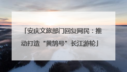 安庆文旅部门回复网民：推动打造“黄鹄号”长江游轮