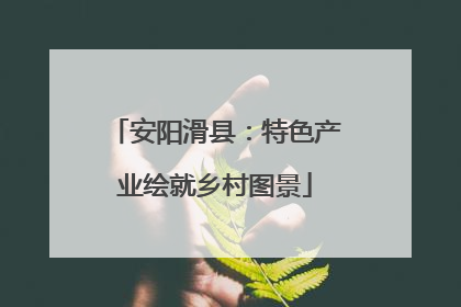 安阳滑县：特色产业绘就乡村图景