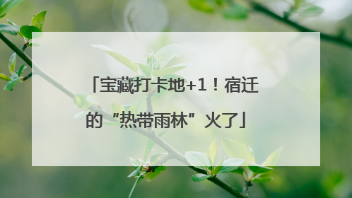 宝藏打卡地+1！宿迁的“热带雨林”火了