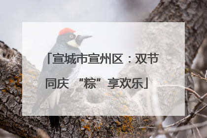 宣城市宣州区：双节同庆 “粽”享欢乐