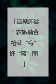 宣城旌德：农旅融合绘就“莓”好“蓝”图