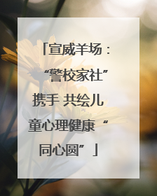 宣威羊场：“警校家社”携手 共绘儿童心理健康“同心圆”