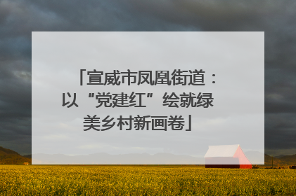 宣威市凤凰街道：以“党建红”绘就绿美乡村新画卷