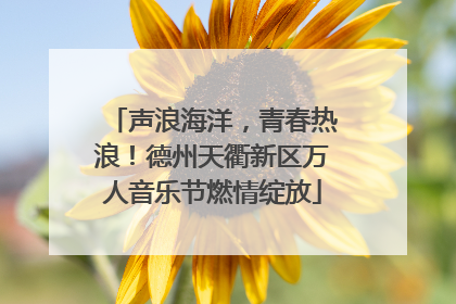 声浪海洋，青春热浪！德州天衢新区万人音乐节燃情绽放