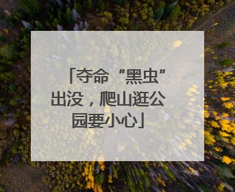 夺命“黑虫”出没，爬山逛公园要小心