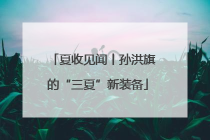 夏收见闻丨孙洪旗的“三夏”新装备