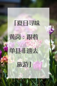 夏日寻味黄岗：跟着单县非遗去旅游