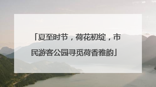夏至时节，荷花初绽，市民游客公园寻觅荷香雅韵
