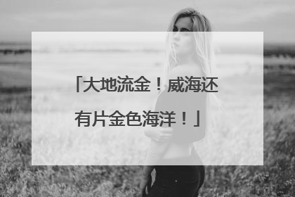 大地流金！威海还有片金色海洋！