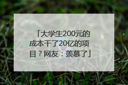 大学生200元的成本干了20亿的项目？网友：羡慕了
