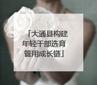 大通县构建年轻干部选育管用成长链