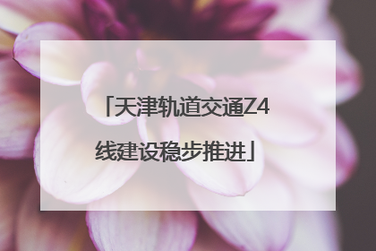 天津轨道交通Z4线建设稳步推进