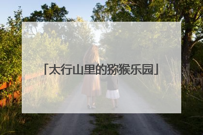 太行山里的猕猴乐园