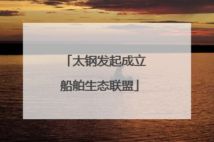 太钢发起成立船舶生态联盟