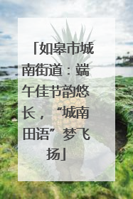 如皋市城南街道：端午佳节韵悠长，“城南田语”梦飞扬
